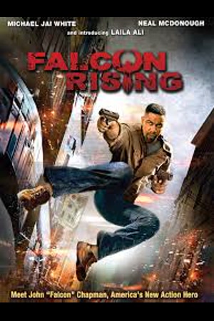 DJ AFRO Falcon.Rising.2014